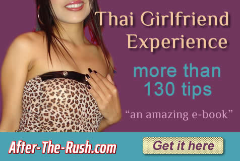 Thai girlfriend eBook download